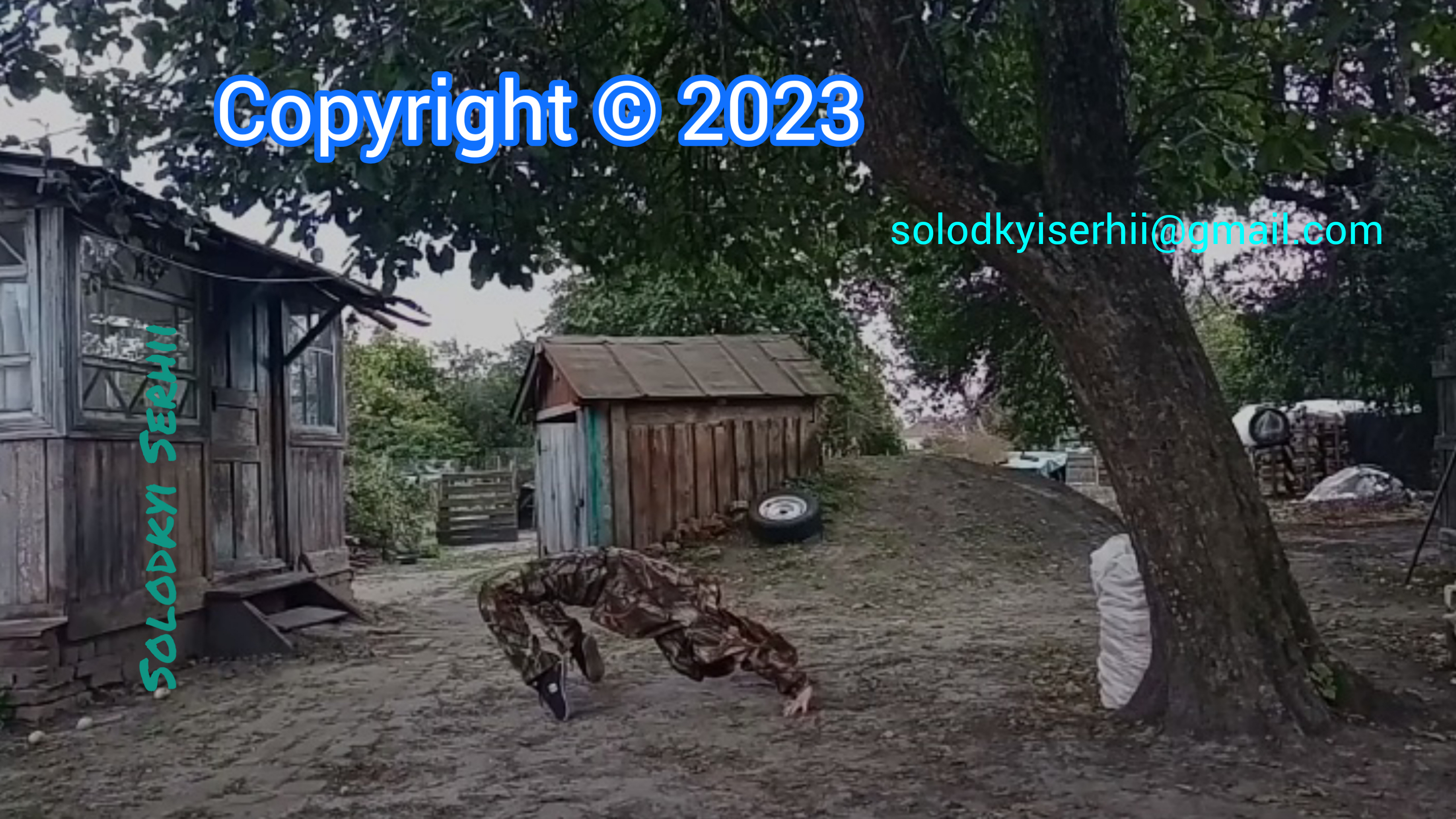 Фотография